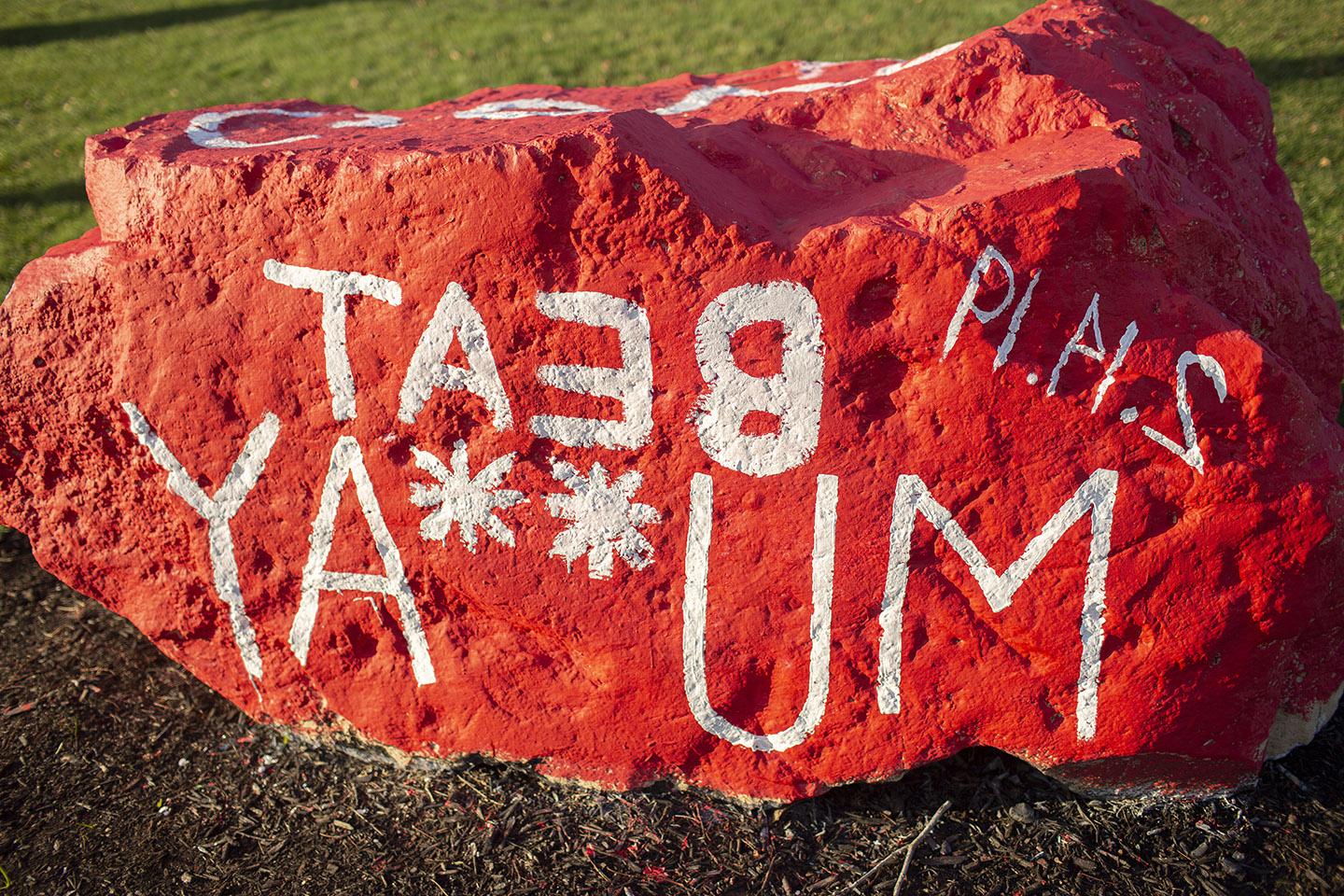 Spirit Rock painted for Murray State game